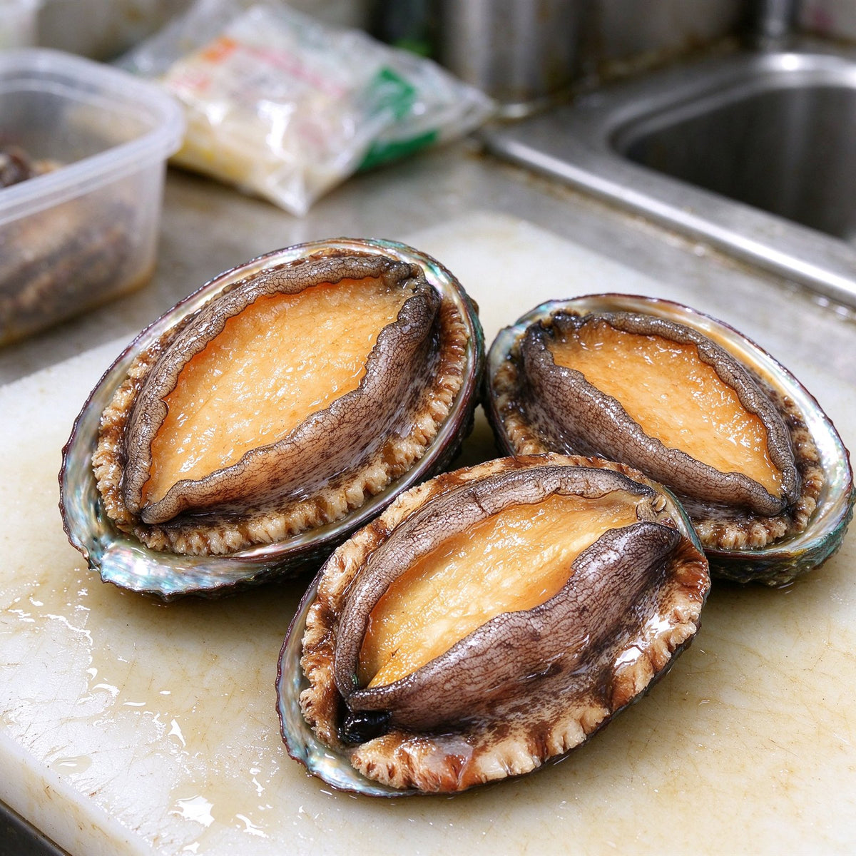 Fresh Whole Abalone In Shell